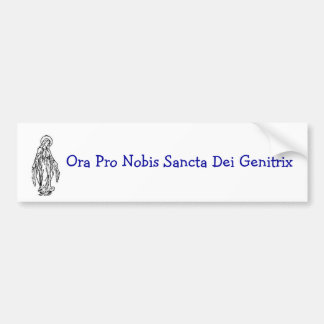 Mary Bumper sticker