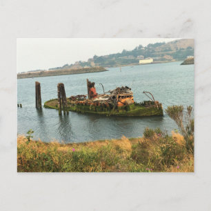 Mary D. Hume, Gold Beach, Oregon Postcard