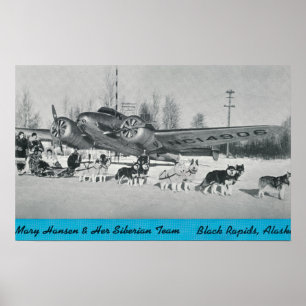 Mary Hansen & Siberians w/ Aeroplane Poster