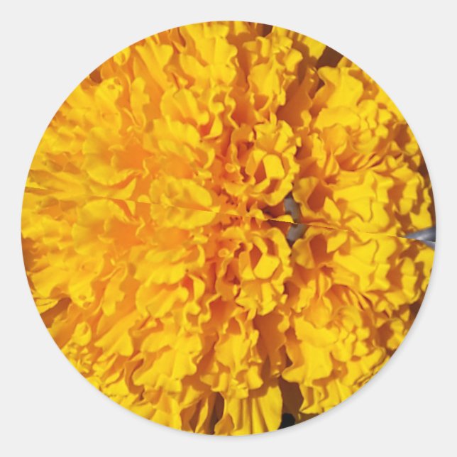 Marygold Classic Round Sticker (Front)