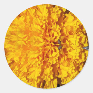 Marygold Classic Round Sticker