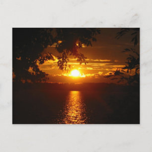 Maryland 2005 postcard