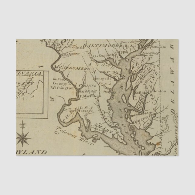 Maryland 5 tissue paper (Front)