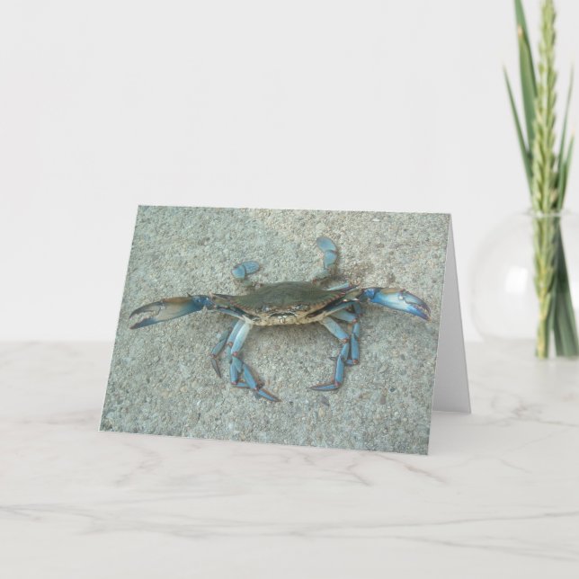 Maryland Blue Crab Greeting Card (Front)