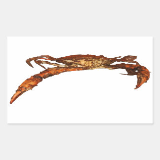 Maryland Blue Crab Rectangular Sticker