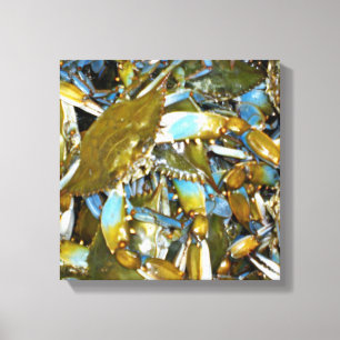 Maryland Blue Crabs Canvas Print