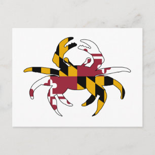 Maryland Flag Crab Postcard