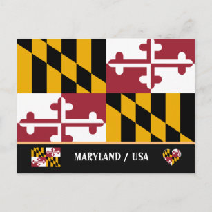 Maryland Flag & Maryland State USA /America Postcard