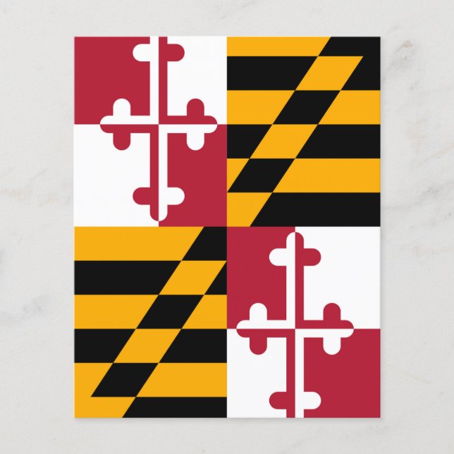 Maryland State Flag Colours Decor Flyer (Front)