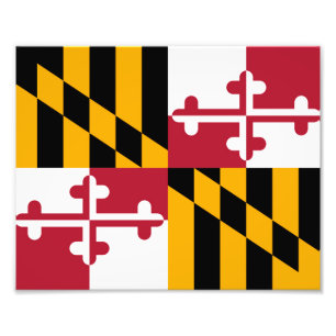 Maryland State Flag Design Decoration Photo Print