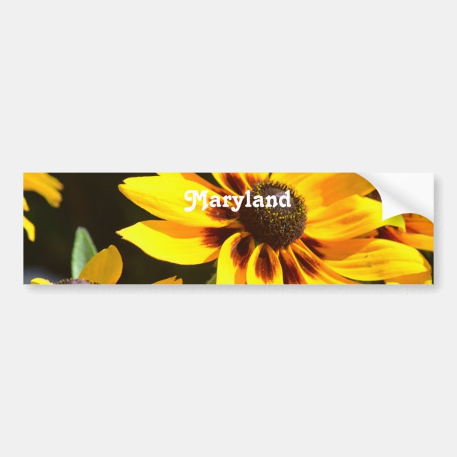 Maryland State Flower Bumper Sticker (Front)