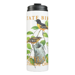 Maryland Territory Bird The Icterus galbula Thermal Tumbler