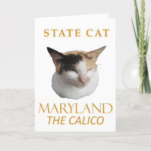 Maryland Territory Cat The Calico Holiday Card