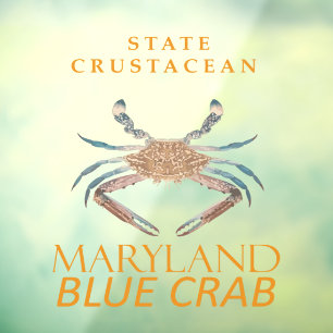 Maryland Territory Crustacean Callinectes sapidus