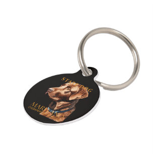Maryland Territory Dog The Retriever Pet Tag