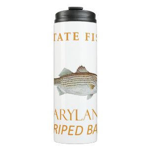 Maryland Territory Fish The Striped Bass Thermal Tumbler