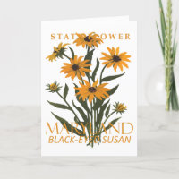 Maryland Territory Flower The Black-Eyed Susan