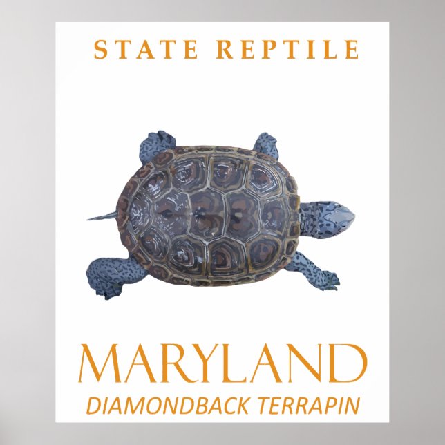 Maryland Territory Reptile The Freshwater Turtle Poster (Front)