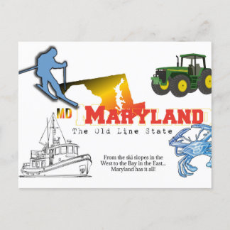 Maryland - The Old Line State Postcard