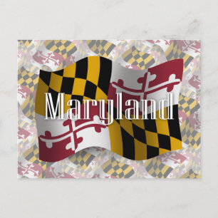 Maryland Waving Flag Postcard