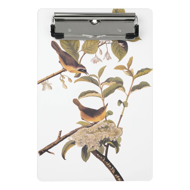 Maryland Yellowthroat Audubon Birds in Olive Tree Mini Clipboard (Front)