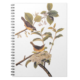Maryland Yellowthroat Audubon Birds in Olive Tree Notebook