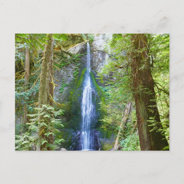Marymere Falls I at Olympic National Park Postcard (Front)