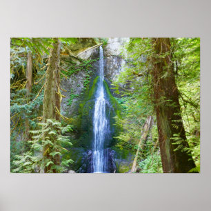 Marymere Falls I at Olympic National Park Poster