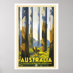 Marysville Victoria Australia The Tallest Tree in Poster