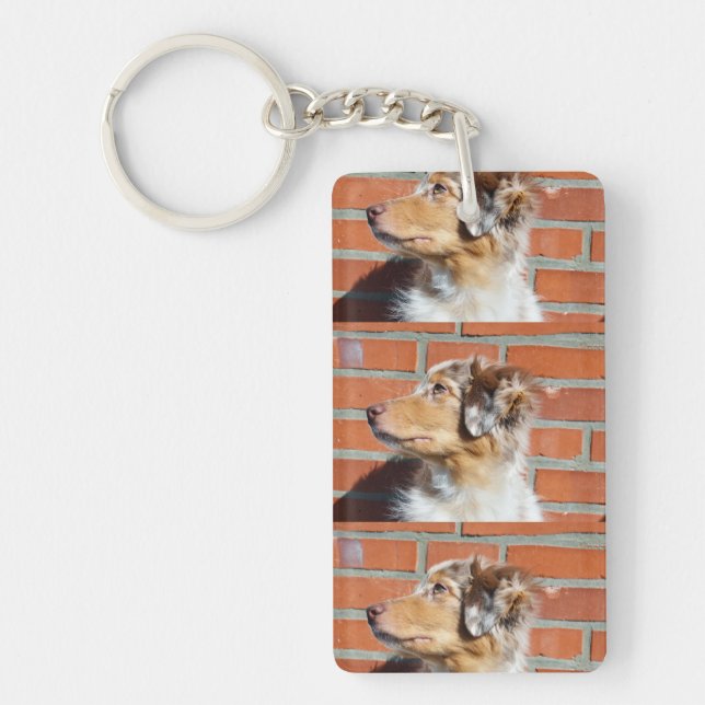 MAS red merle Key Ring (Front)