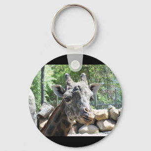 Masai Giraffe Close Up Portait Key Ring