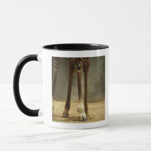 Masai giraffe, low angle view of legs, Giraffa Mug