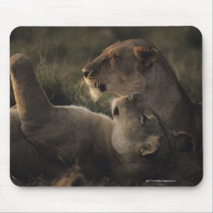 Masai Mara National Reserve 7 Mouse Pad