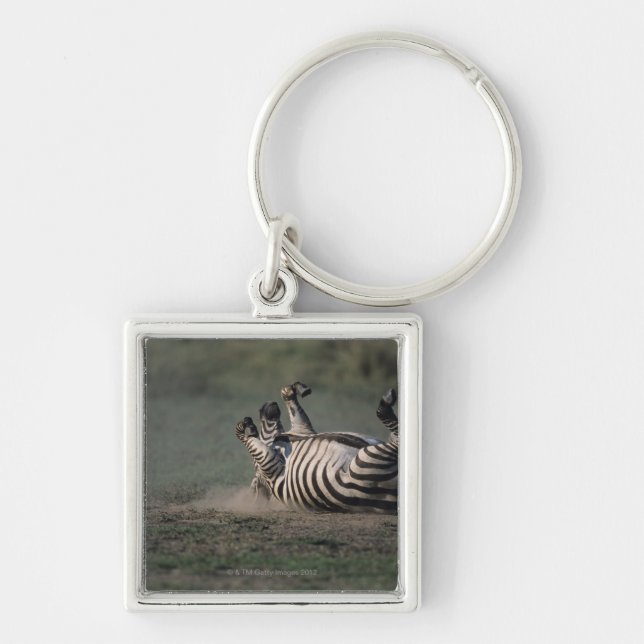 Masai Mara National Reserve, Kenya 2 Key Ring (Front)