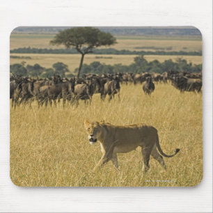 Masai Mara National Reserve, Kenya, Africa Mouse Pad