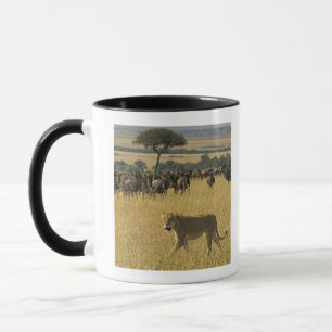 Masai Mara National Reserve, Kenya, Africa Mug