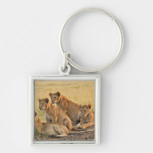 Masai Mara National Reserve, Kenya, Jul 2005 Key Ring