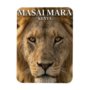 Masai Mara National Reserve Kenya Magnet