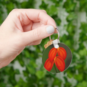 Masdevallia ignea Orchid Key Ring