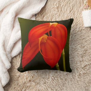 Masdevallia ignea Orchid Throw Pillow