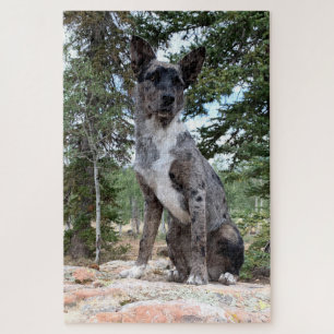 Masked Brindle Cattle Dog Observes Scene Jigsaw Puzzle