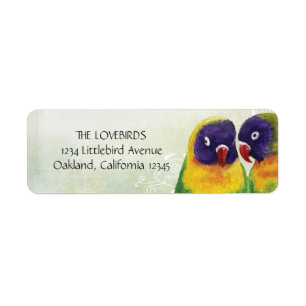 Masked Lovebirds Return Address Labels