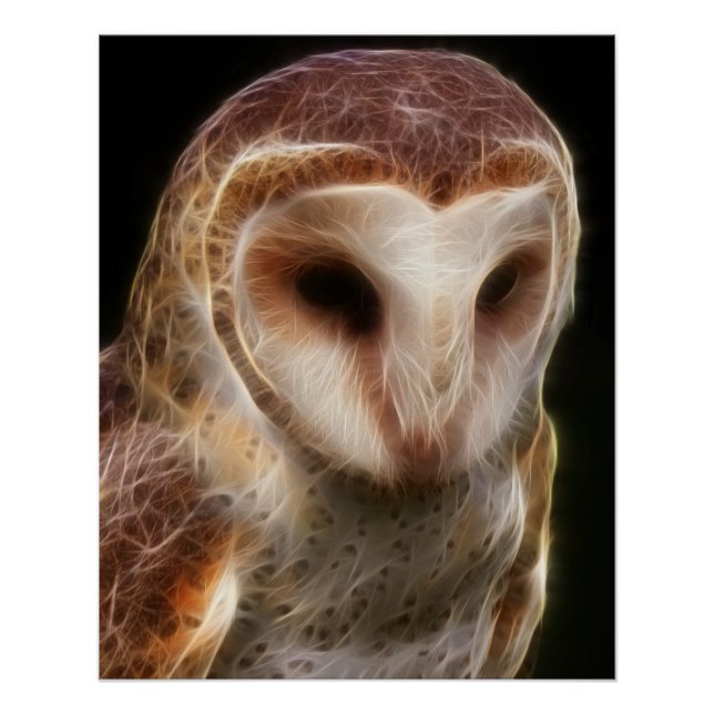Masked Owl Fractal Poster (Front)
