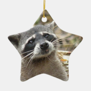 Masked Racoon Ornament
