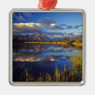 Maskinonge Lake in Waterton Lakes National Park 3 Metal Tree Decoration