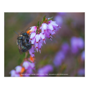 Mason and Heather Photo Print