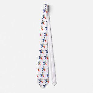 Masons of Texas "Star Line" Tie