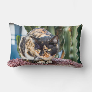 Maspalomas Cat Lumbar Cushion