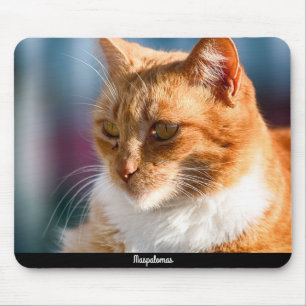 Maspalomas Cat Mouse Pad