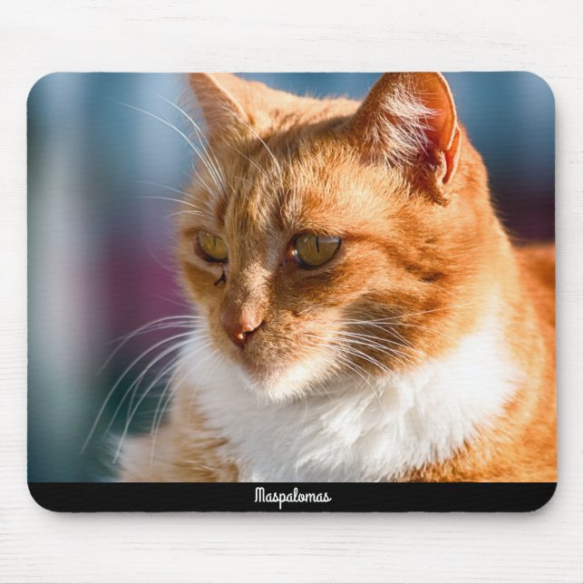 Maspalomas Cat Mouse Pad (Front)